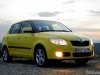 ����-����� Skoda Fabia: ���������� � ������