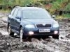 Тест-драйв Шкода Октавия: Лесной дозор