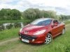 ����-����� ���� 307: ������ ��������