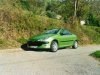 ����-����� Peugeot 206 CC: �� �����
