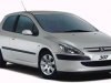 ����-����� ���� 307: Peugeot 307