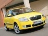 ����-����� Skoda Fabia: ������ ��������