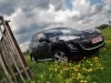 ����-����� ���� 4007: ������������� ������