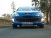����-����� Peugeot 308: ������� ����