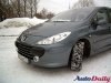 ����-����� Peugeot 307: �������� ���� �����-�����
