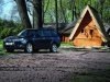 ����-����� Subaru Forester: �����������