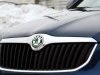 ����-����� Skoda Superb: ������-����� ��� ����