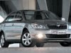 ����-����� Skoda Octavia: ���������