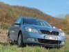 ����-����� Skoda Octavia: �5 �� ����� �������